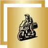 Gold motorcycle rider logo